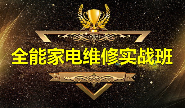 ȫ�ܼҵ�ά����ѵ��